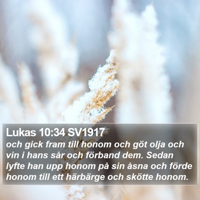 Lukas 10:34 SV1917 Bible Verse Image