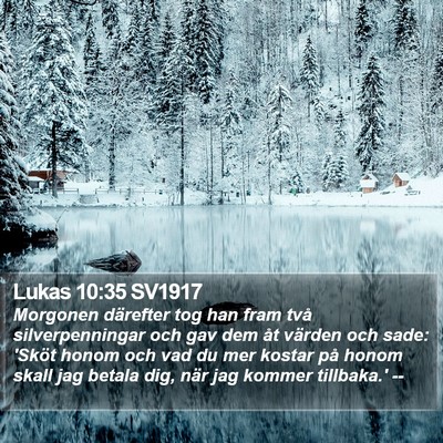 Lukas 10:35 SV1917 Bible Verse Image