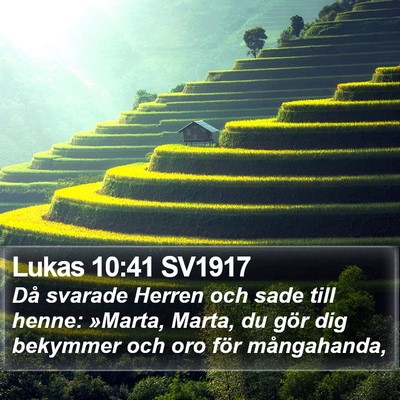 Lukas 10:41 SV1917 Bible Verse Image