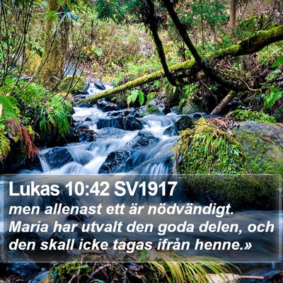 Lukas 10:42 SV1917 Bible Verse Image