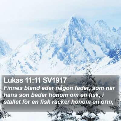 Lukas 11:11 SV1917 Bible Verse Image