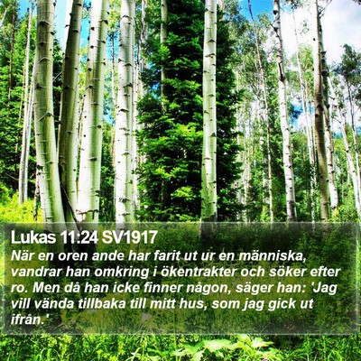 Lukas 11:24 SV1917 Bible Verse Image