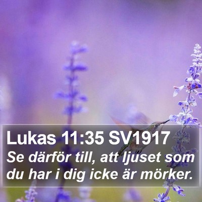 Lukas 11:35 SV1917 Bible Verse Image