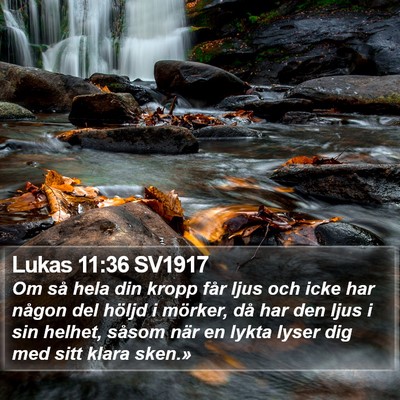 Lukas 11:36 SV1917 Bible Verse Image