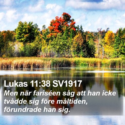 Lukas 11:38 SV1917 Bible Verse Image