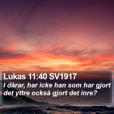Lukas 11:40 SV1917 Bible Verse Image