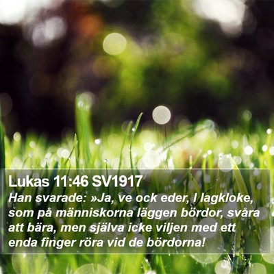 Lukas 11:46 SV1917 Bible Verse Image