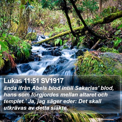 Lukas 11:51 SV1917 Bible Verse Image