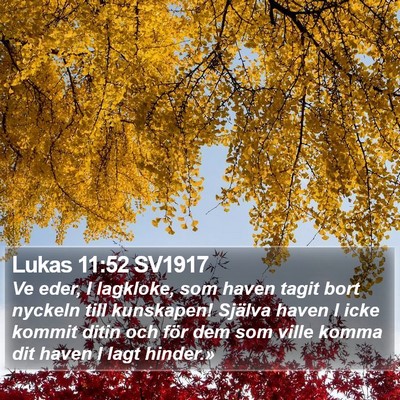 Lukas 11:52 SV1917 Bible Verse Image