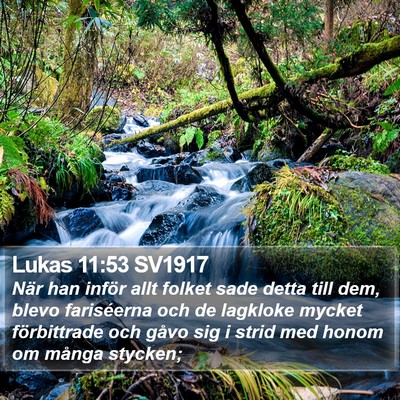 Lukas 11:53 SV1917 Bible Verse Image
