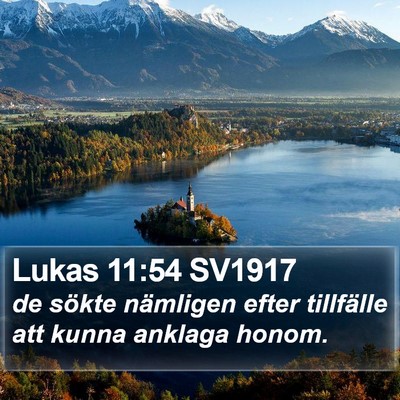 Lukas 11:54 SV1917 Bible Verse Image