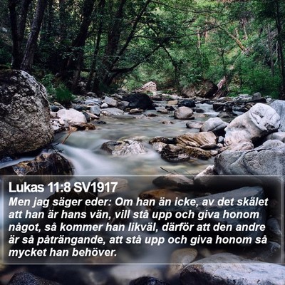 Lukas 11:8 SV1917 Bible Verse Image