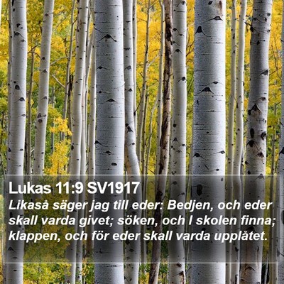 Lukas 11:9 SV1917 Bible Verse Image