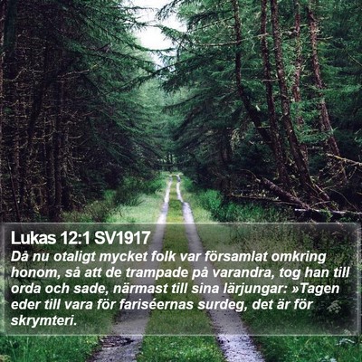 Lukas 12:1 SV1917 Bible Verse Image