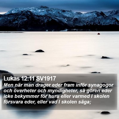 Lukas 12:11 SV1917 Bible Verse Image