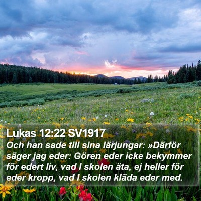 Lukas 12:22 SV1917 Bible Verse Image