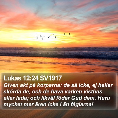 Lukas 12:24 SV1917 Bible Verse Image
