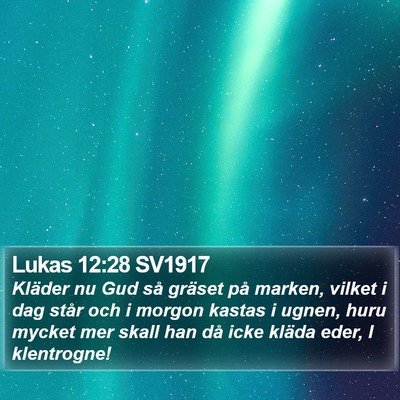 Lukas 12:28 SV1917 Bible Verse Image