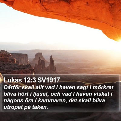 Lukas 12:3 SV1917 Bible Verse Image
