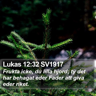 Lukas 12:32 SV1917 Bible Verse Image