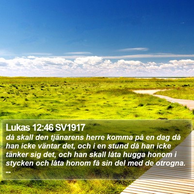 Lukas 12:46 SV1917 Bible Verse Image