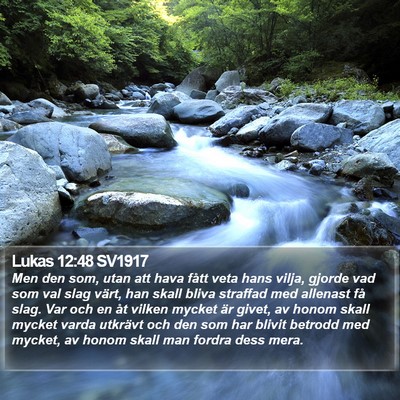 Lukas 12:48 SV1917 Bible Verse Image