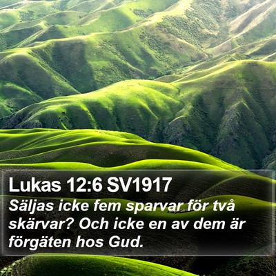 Lukas 12:6 SV1917 Bible Verse Image