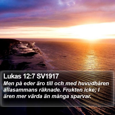 Lukas 12:7 SV1917 Bible Verse Image