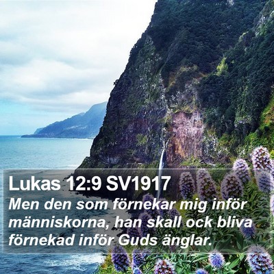 Lukas 12:9 SV1917 Bible Verse Image