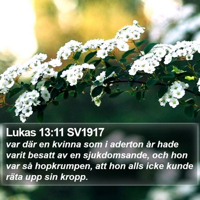 Lukas 13:11 SV1917 Bible Verse Image