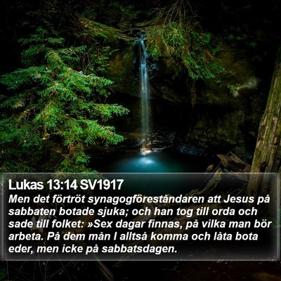 Lukas 13:14 SV1917 Bible Verse Image