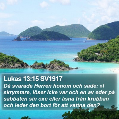 Lukas 13:15 SV1917 Bible Verse Image