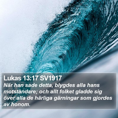 Lukas 13:17 SV1917 Bible Verse Image