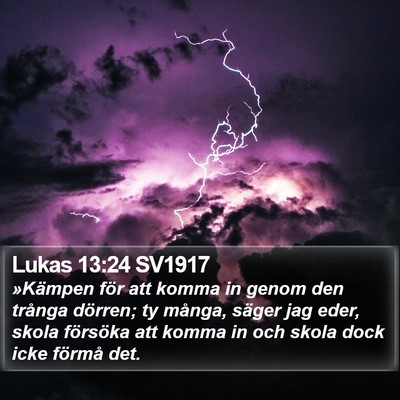 Lukas 13:24 SV1917 Bible Verse Image