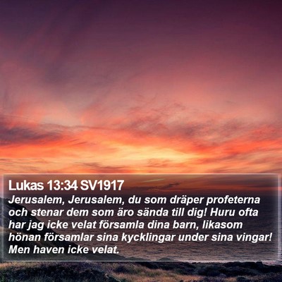 Lukas 13:34 SV1917 Bible Verse Image