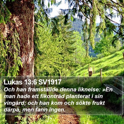 Lukas 13:6 SV1917 Bible Verse Image