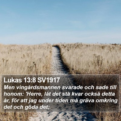 Lukas 13:8 SV1917 Bible Verse Image