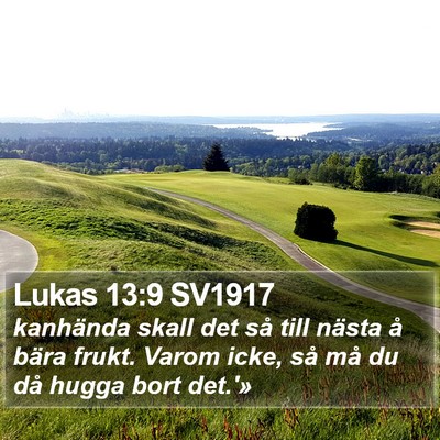 Lukas 13:9 SV1917 Bible Verse Image