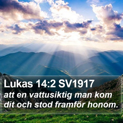 Lukas 14:2 SV1917 Bible Verse Image