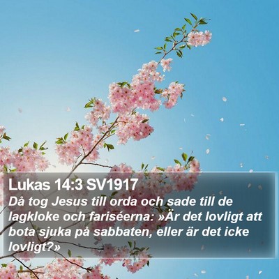 Lukas 14:3 SV1917 Bible Verse Image