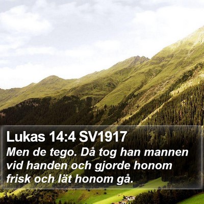 Lukas 14:4 SV1917 Bible Verse Image