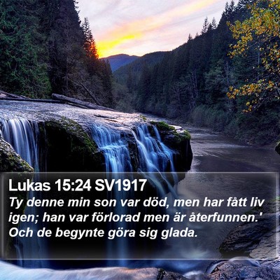 Lukas 15:24 SV1917 Bible Verse Image