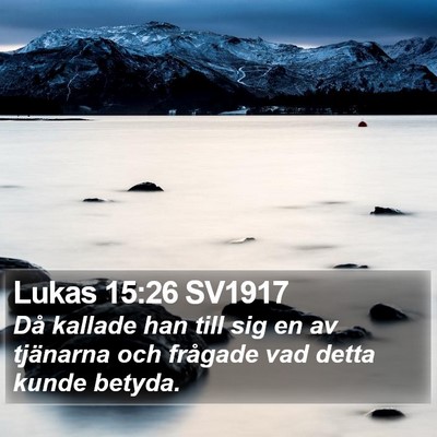 Lukas 15:26 SV1917 Bible Verse Image