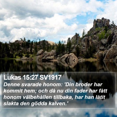 Lukas 15:27 SV1917 Bible Verse Image
