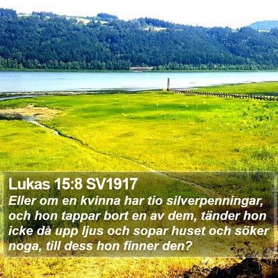 Lukas 15:8 SV1917 Bible Verse Image