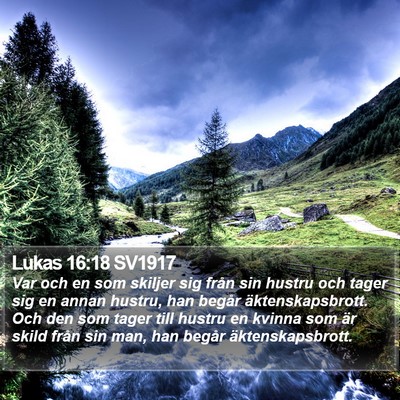 Lukas 16:18 SV1917 Bible Verse Image