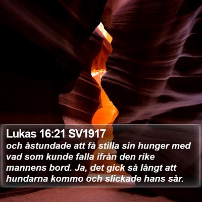 Lukas 16:21 SV1917 Bible Verse Image