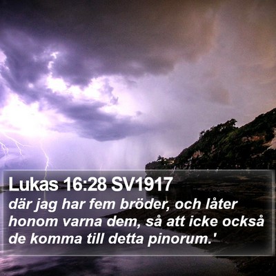 Lukas 16:28 SV1917 Bible Verse Image