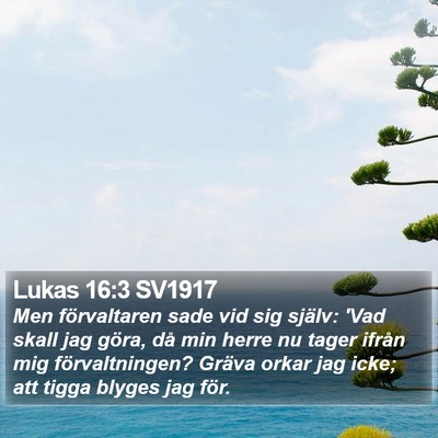 Lukas 16:3 SV1917 Bible Verse Image