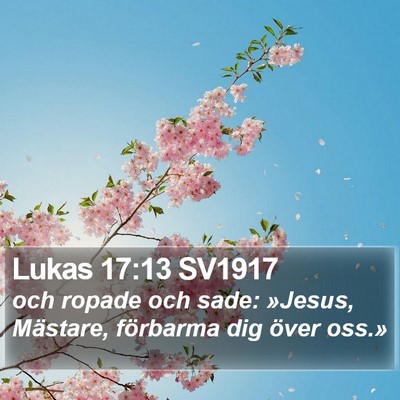 Lukas 17:13 SV1917 Bible Verse Image